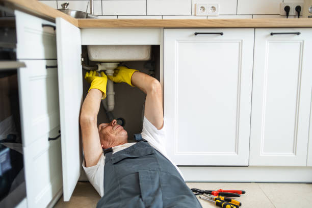 Best Sewer Line Replacement  in Highland Acres, DE