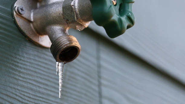 Best Plumbing Inspection Services  in Highland Acres, DE